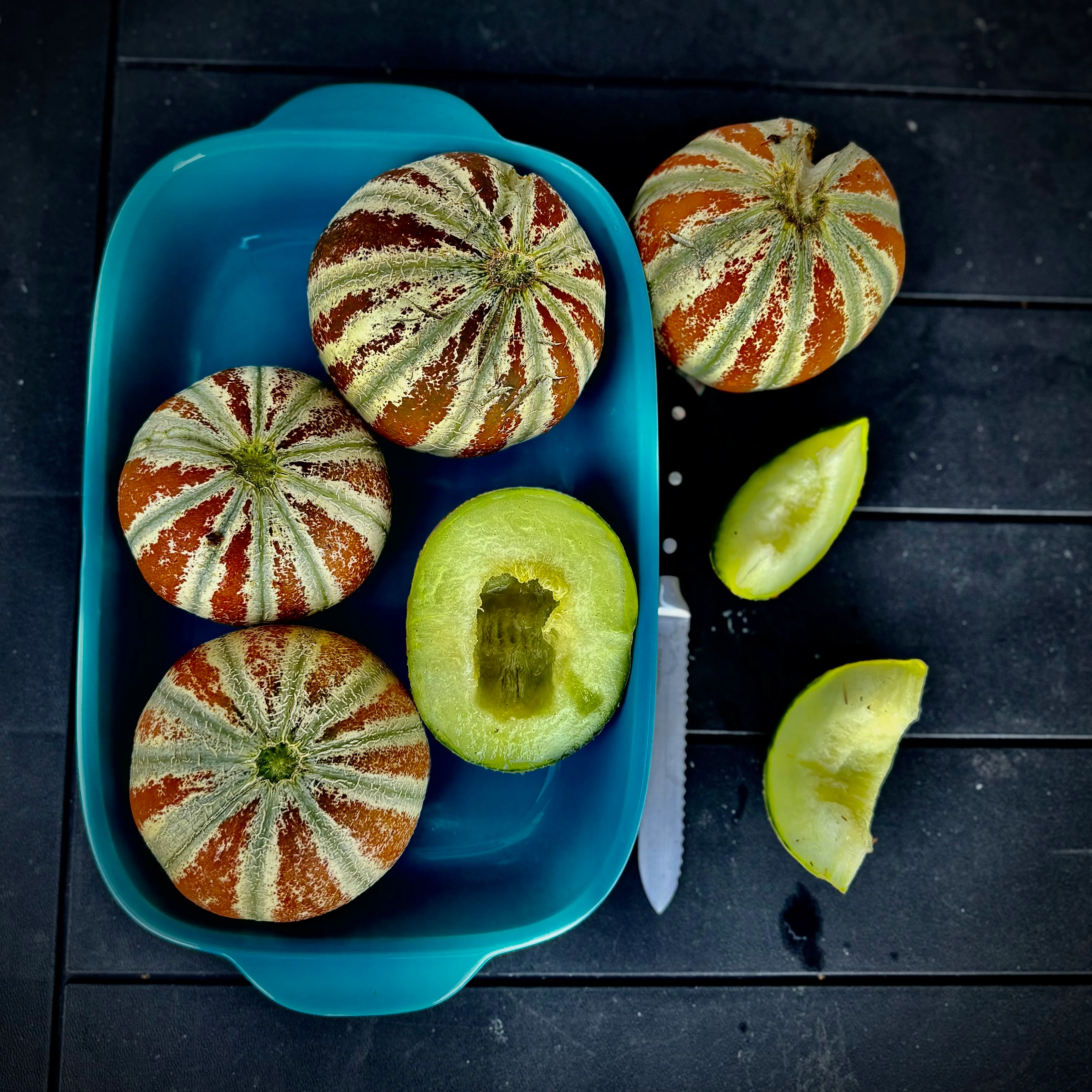 NEW VARIETIES COMING SOON!