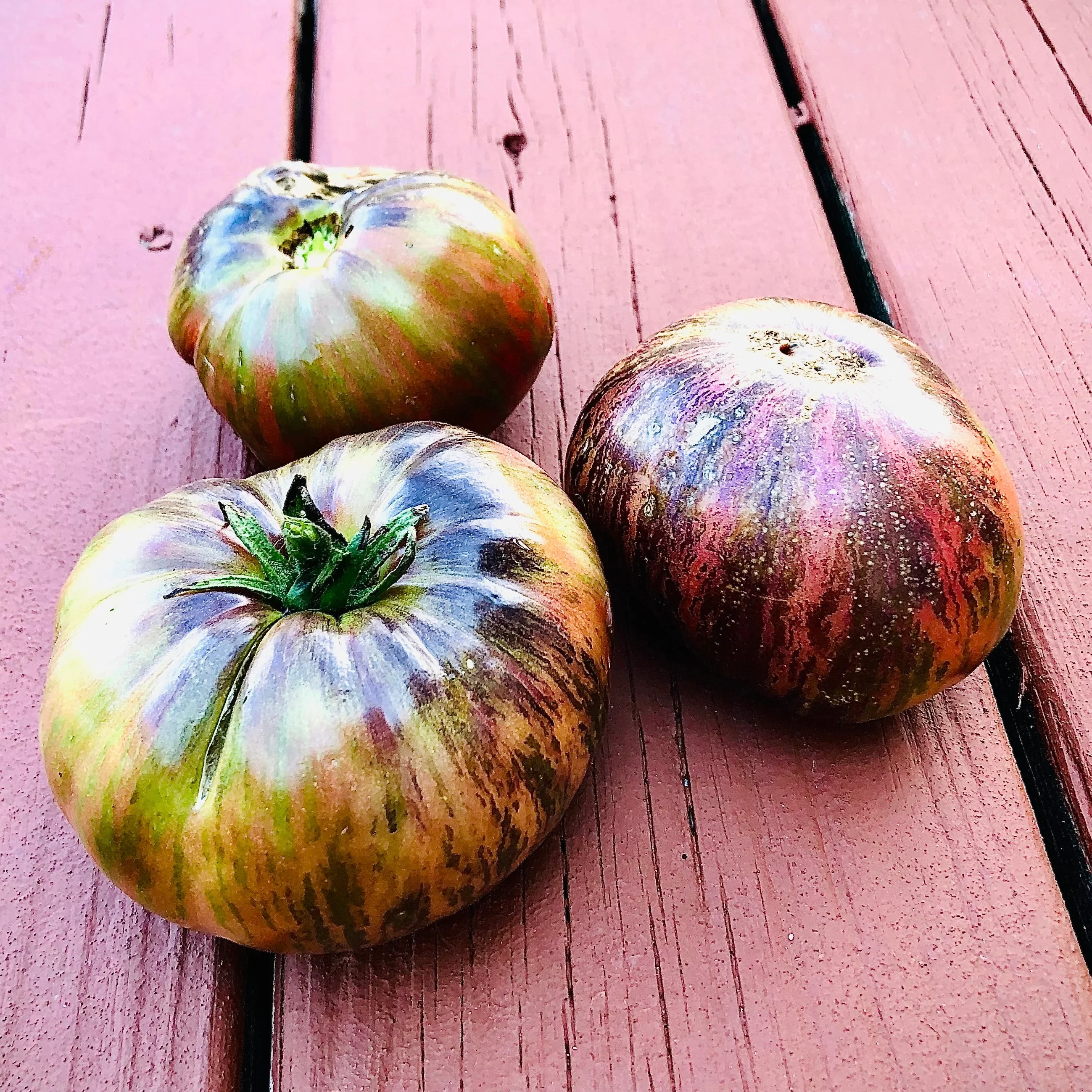 Tomato Seeds